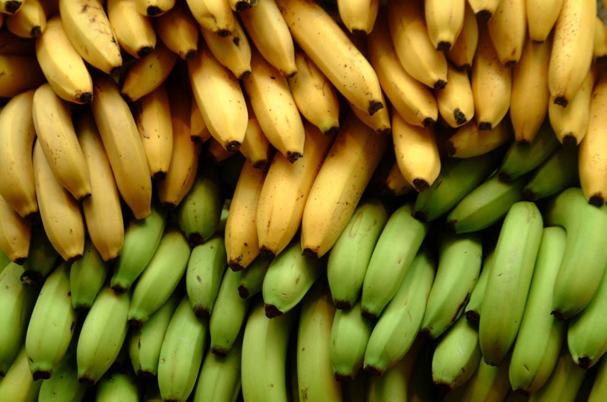 4bananas