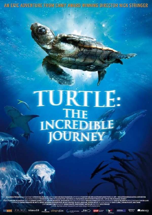 4viaggio turtle